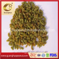 Hot Sale Good Quality Raisins From China